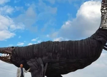 فنان تشكيلي عن تمثال أضخم حوت في وادي الحيتان: عملته في 25 يوماً 1