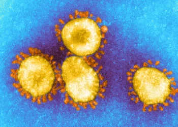 باحث بعلم الفيروسات يوضح الفرق بين «كورونا» و«نوروفيروس» 3