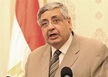 عوض تاج الدين: لا قلق من وضع جائحة كورونا في مصر.. «فيديو» 5