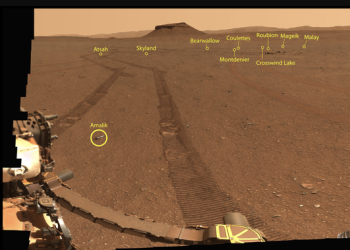 في 368 صورة.. ناسا تكشف عن عينات من تربة المريخ 2