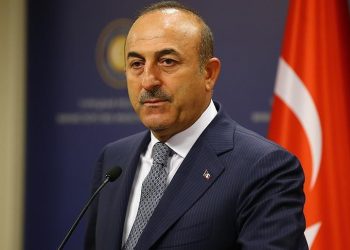 وزير الخارجية التركي: مصر بلد مهم وزيارة سامح شكري تعني الكثير مستقبلا 2