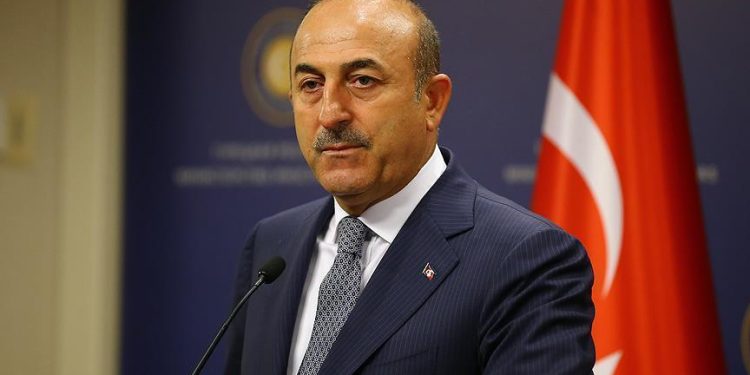 وزير الخارجية التركي: مصر بلد مهم وزيارة سامح شكري تعني الكثير مستقبلا 1