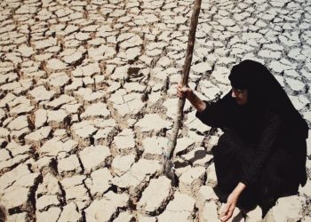 الجفاف يهدد 4 ملايين عراقي بمحافظة نينوي العراقية 1