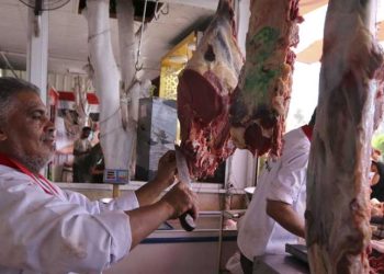 الزراعة: إطلاق أكبر معرض للحوم والدواجن بتخفيضات 40% مارس المقبل 1