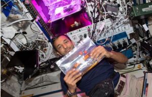 شاهد | رائد الفضاء الإماراتي سلطان النيادي يزرع الطماطم في الفضاء 4