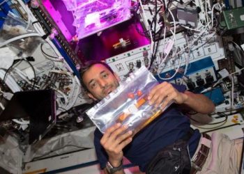 شاهد | رائد الفضاء الإماراتي سلطان النيادي يزرع الطماطم في الفضاء 7