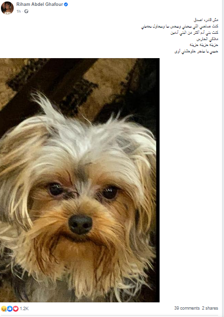 «كان صاحبي اللي بيحبني ويحميني».. ريهام عبد الغفور تعلن وفاة كلبها 1