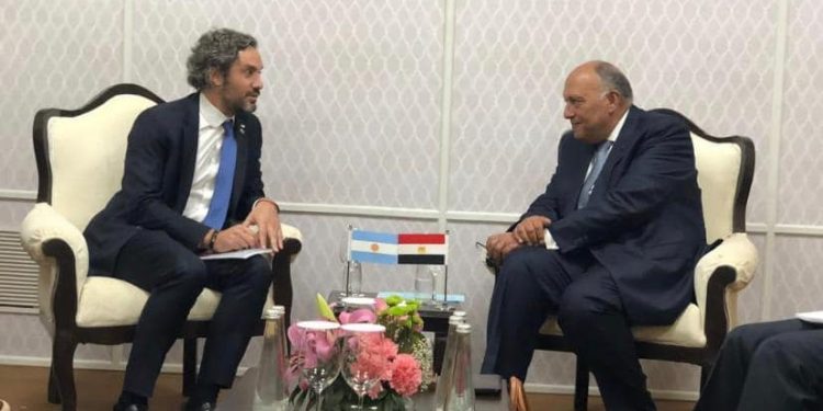 سامح شكري يلتقي مع وزير خارجية الأرجنتين على هامش اجتماعات وزراء خارجية مجموعة العشرين 1