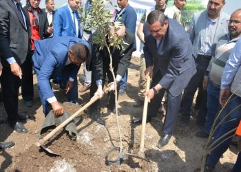وزير التنمية المحلية ومحافظ بني سويف يتابعان مبادرة " 100 مليون شجرة"