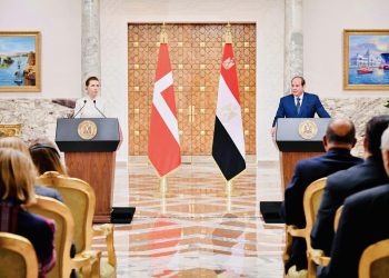 الرئيس السيسي يؤكد عزم مصر تقديم تسهيلات لشركات الشحن البحرى الدنماركية 5