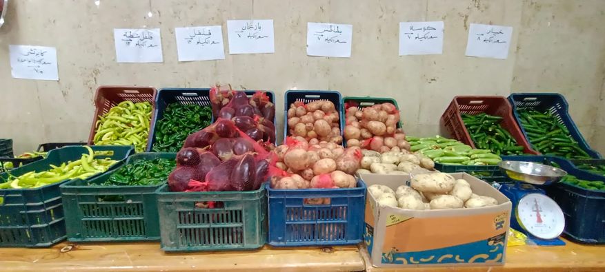محافظ كفر الشيخ يفتتح معرض منتجات التعليم الفني الزراعي وطرحها للجمهور بأسعار مخفضة 3