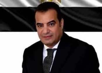 النائب أحمد إدريس: مصر تحتفل بيوم الشهيد والقضاء على الإرهاب معا 6