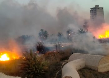 الحماية المدنية تسيطر على حريق بمنطقة زراعية في الإسماعيلية 1