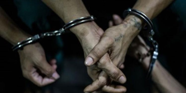 حبس المتهمين بالاتجار بالمواد المخدرة بمرسى مطروح 1
