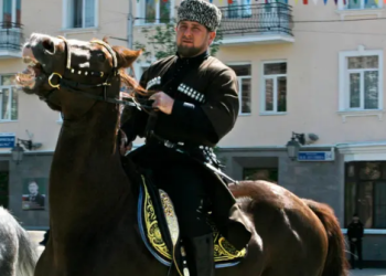 ثمنه 18 ألف دولار.. سرقة حصان رئيس الشيشان 2