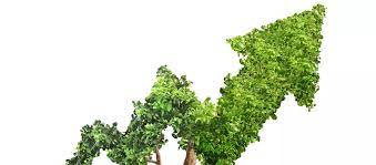الاستثمار في التحول الأخضر خطة أوروبا للتعافي الاقتصادي 3