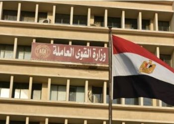 القوى العاملة تعلن فتح باب التدريب المجاني لشباب القاهرة على 8 مهن