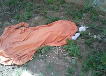 أمن سوهاج يكشف ملابسات العثور على جثة مجهولة وسط الزراعات 2