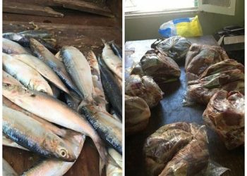 ضبط كمية من الأسماك المملحة واللحوم البلدية والمجمدة غير صالحة للإستهلاك الآدمي بـ البحيرة