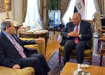 أول زيارة منذ سنوات.. صور وصول وزير الخارجية السوري مصر 2