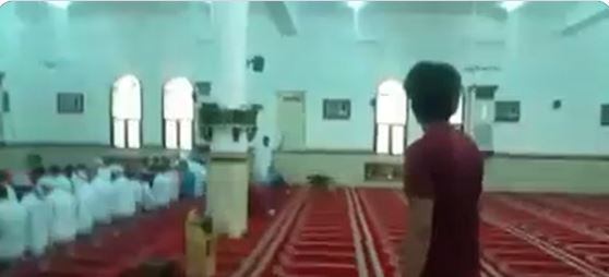 شاهد | كلب ضال يفزع المصلين داخل مسجد بـ السعودية.. وتويتر يكشف الحقيقة 1