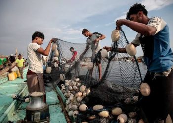 حفاظًا على الثروة السمكية.. حظر الصيد الترفيهي بكل انواعه في السويس