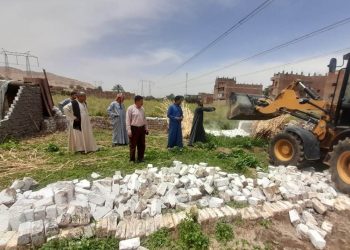 إزالة 239 حالة تعدي على أملاك الدولة والأراضي الزراعية بسوهاج