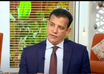 أحمد عامر: مصر تملك مصادر كثيرة للطاقة الجديدة والمتجددة