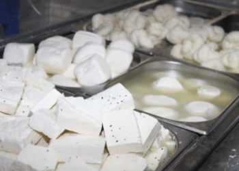 أمن الجيزة يضبط كمية من الجبن والزبدة الفاسدة داخل مخزن ألبان في أبو النمرس 1