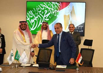 وزير التجارة: 6 مليار دولار استثمارات سعودية في مصر 3