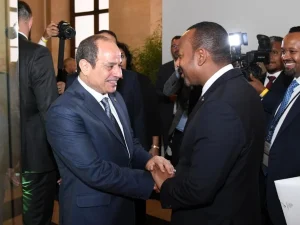 بالصور.. مصافحة ودودة وابتسامات متبادلة بين السيسي ورئيس وزراء إثيوبيا 1