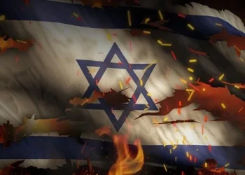 عاجل | اندلاع حريق هائل في إسرائيل.. والبدء في إجلاء المستوطنين 1