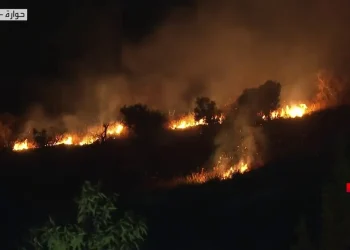 مستوطنون إسرائيليون يحرقون حقولا زراعية جنوبي نابلس 1
