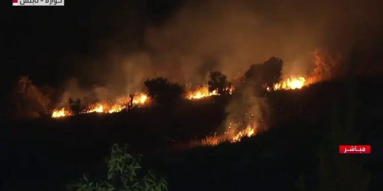 مستوطنون إسرائيليون يحرقون حقولا زراعية جنوبي نابلس 1