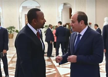 متحدث الرئاسة: إثيوبيا تعهدت أن ملء سد النهضة لن يلحق ضرارًا بمصر والسودان