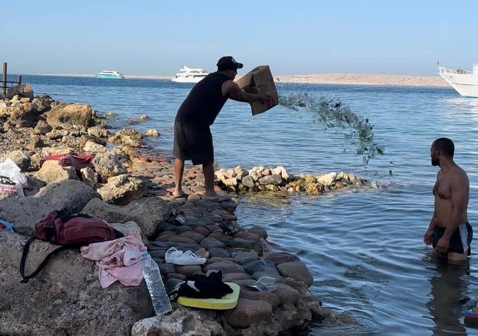 بالفيديو.. القبض على حارس شاليهات لاتهامه بإلقاء زجاج بمياه الشاطئ في الغردقة