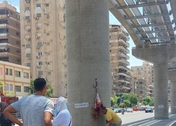 جزار يستخدم أعمدة المونوريل لتعليق العجول في العيد.. وإجراء من محافظة القاهرة ضده