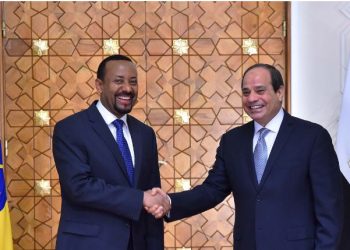 عاجل | السيسي ورئيس وزراء إثيوبيا يعلنان بدء مفاوضات عاجلة لملء سد النهضة 1