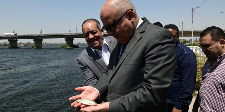 محافظ قنا يشهد إنزال مليون زريعة سمكية بنهر النيل