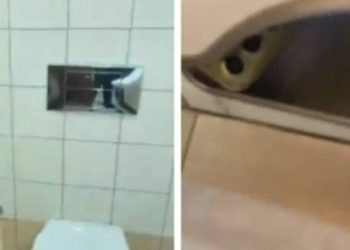 حدث في الكويت.. سيدة تكتشف هاتفا على وضعية التصوير داخل حمام أحد البنوك 5