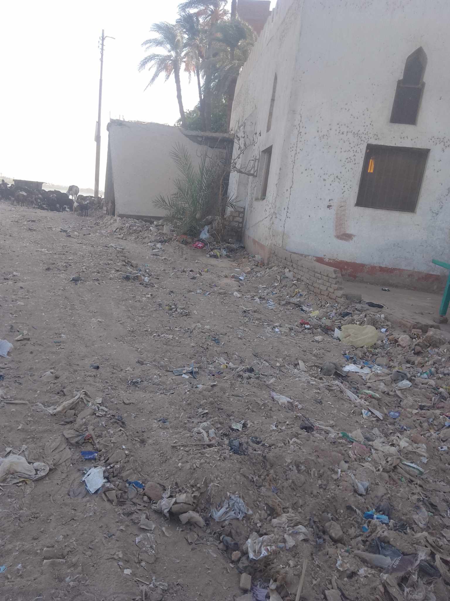 استجابة لـ أوان مصر: رفع مخلفات المباني والقمامة من محيط مسجد عمر بن الخطاب بأخميم 2