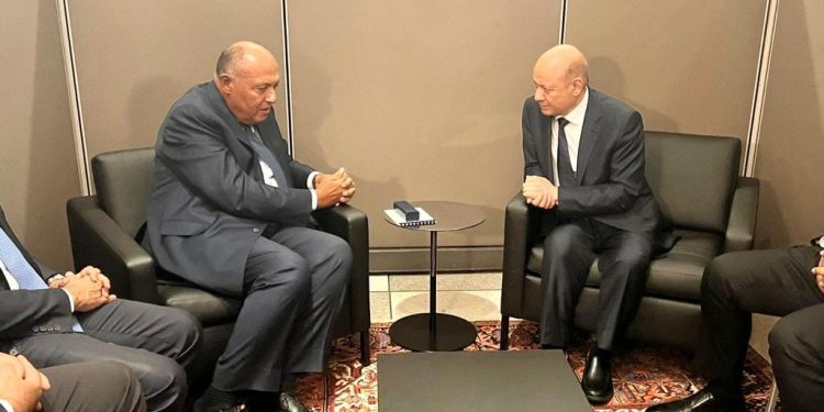 وزير الخارجية يلتقي مع رئيس مجلس القيادة الرئاسي اليمني