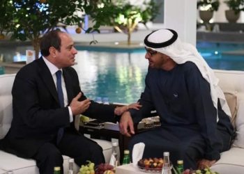 أبرز ما جاء في لقاء الرئيس السيسي مع بن زايد في الإمارات  4