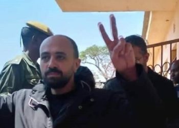 فرحة وعلامات النصر.. لحظة إطلاق سراح المصريين المحتجزين في زامبيا | فيديو 5
