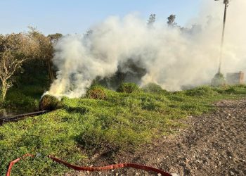 السيطرة على حريق هائل داخل أرض زراعية بكفر الأربعين بالقليوبية