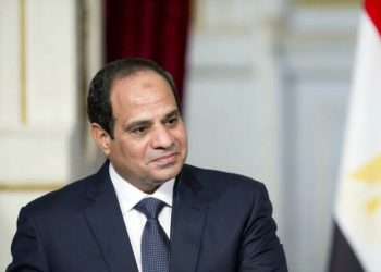 دور كبير للدولة المصرية في الحفاظ على أمنها القومي ودعم القضية الفلسطينية.. تقرير يكشف التفاصيل 1