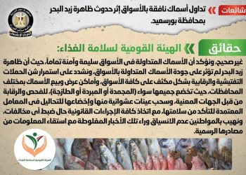 حقيقة تداول أسماك نافقة بالأسواق إثر حدوث ظاهرة زبد البحر بمحافظة بورسعيد 1
