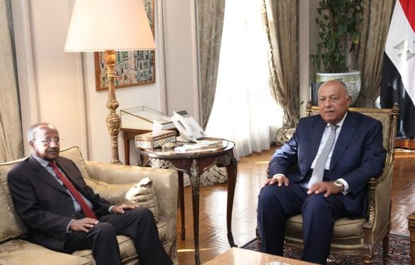شكري يستعرض مع وزير خارجية إريتريا جهود مصر لوقف التصعيد الجاري فى غزة
