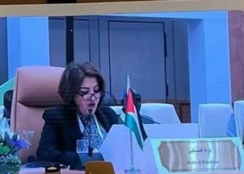 وزيرة البيئة الفلسطينية: غزة تتعرض لكارثة بيئية وصحية ستمتد آثارها لـ دول المنطقة 4