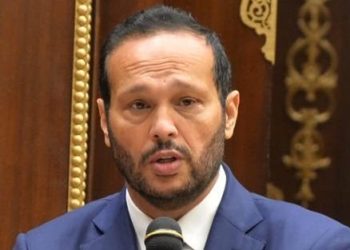 محمد حلاوة: تصريحات الرئيس السيسي تعكس أن مصر هى الحصن للأمة العربية 2